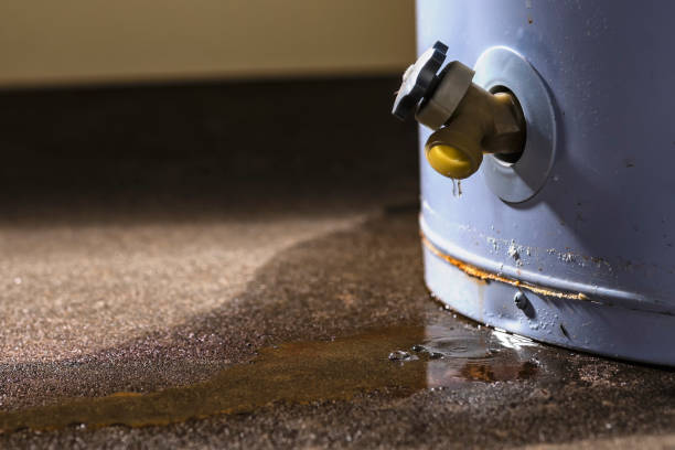 Best Commercial water damage restoration  in Jefferson, WI