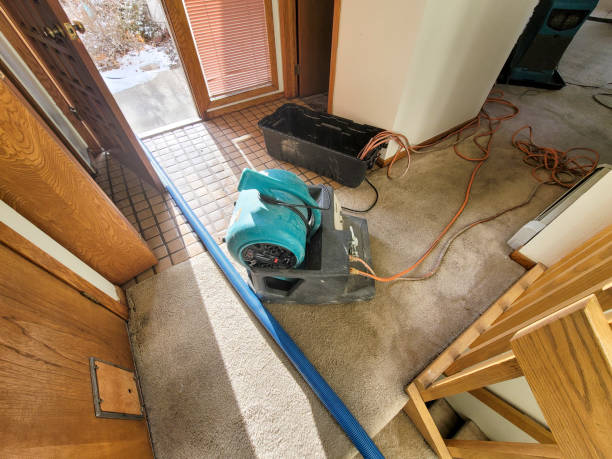 Best 24/7 water damage repair  in Jefferson, WI