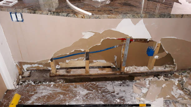 Best Flood damage cleanup  in Jefferson, WI