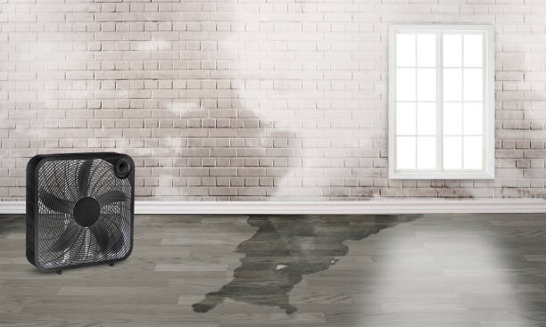 Reliable Jefferson, WI Water damage restoration Solutions