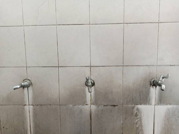 Best Water damage restoration near me  in Jefferson, WI