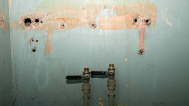 Best Flooded house restoration  in Jefferson, WI