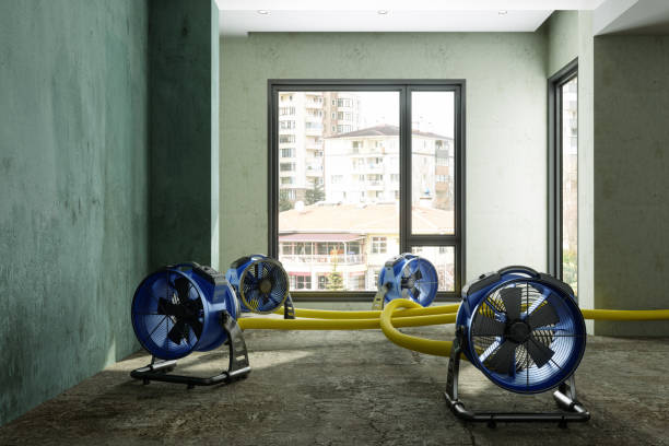 Best Emergency water damage restoration  in Jefferson, WI